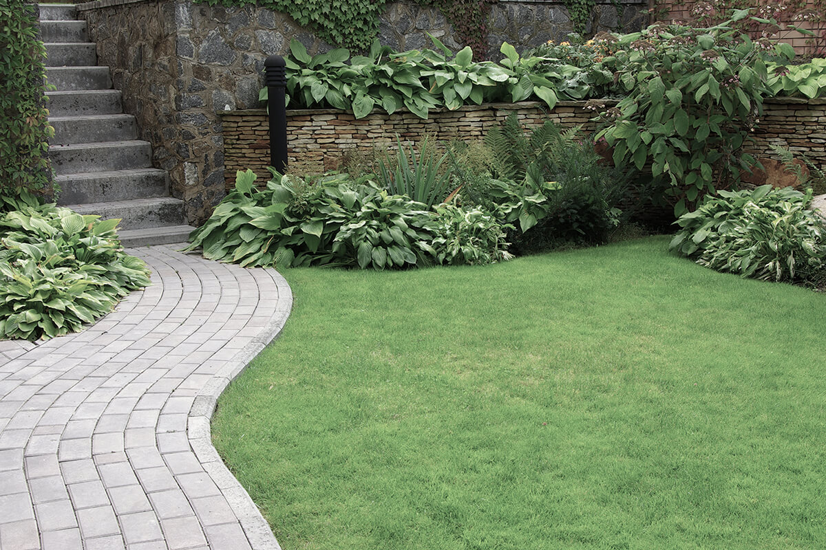 Welcome to Abby Landscaping